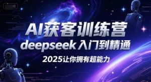 AI获客训练营，deepseek入门到精通，2025让你拥有超能力-副业网创