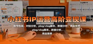 小红书IP运营高阶变现课：账号包装，对标分析，plog/vlog脚本，数据分析，商业接单-副业网创