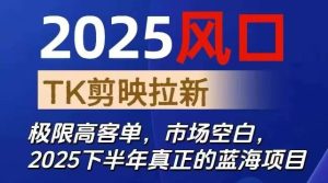 2025风口TK剪映capcut拉新项目,极限高客单,市场空白,2025下半年真正的蓝海项目-副业网创