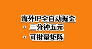 海外ip全自动掘金，2025必做蓝海项目，3分钟落地，矩阵直接开干【揭秘】-副业网创