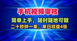 手机视频审核,随时随地可做,二十秒钟一单,单日收益4张+【揭秘】-副业网创