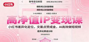 高净值IP变现课：小红书差异化定位，文案点赞成金， AI高效做短视频-副业网创