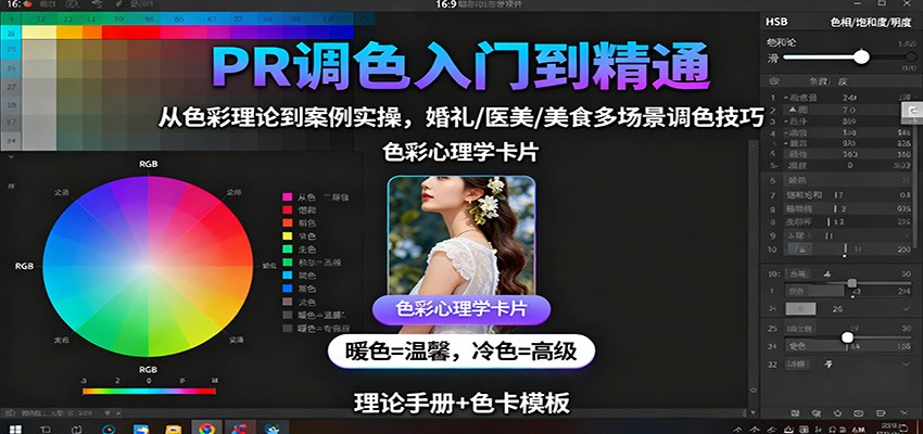 PR调色入门到精通:从色彩理论到案例实操,婚礼/医美/美食多场景调色技巧-副业网创