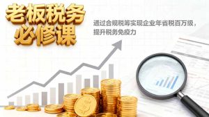 老板税务必修课,通过合规税筹实现企业年省税百万级,提升税务免疫力-副业网创