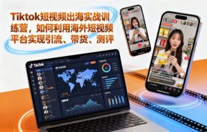 Tiktok短视频出海实战训练营,如何利用海外短视频平台实现引流、带货、测评-副业网创