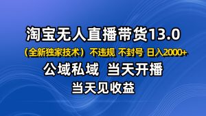 淘宝无人直播13.0，公域私域技术，不封号，不违规 布局下半年旺季赛道，日入2000+-副业网创