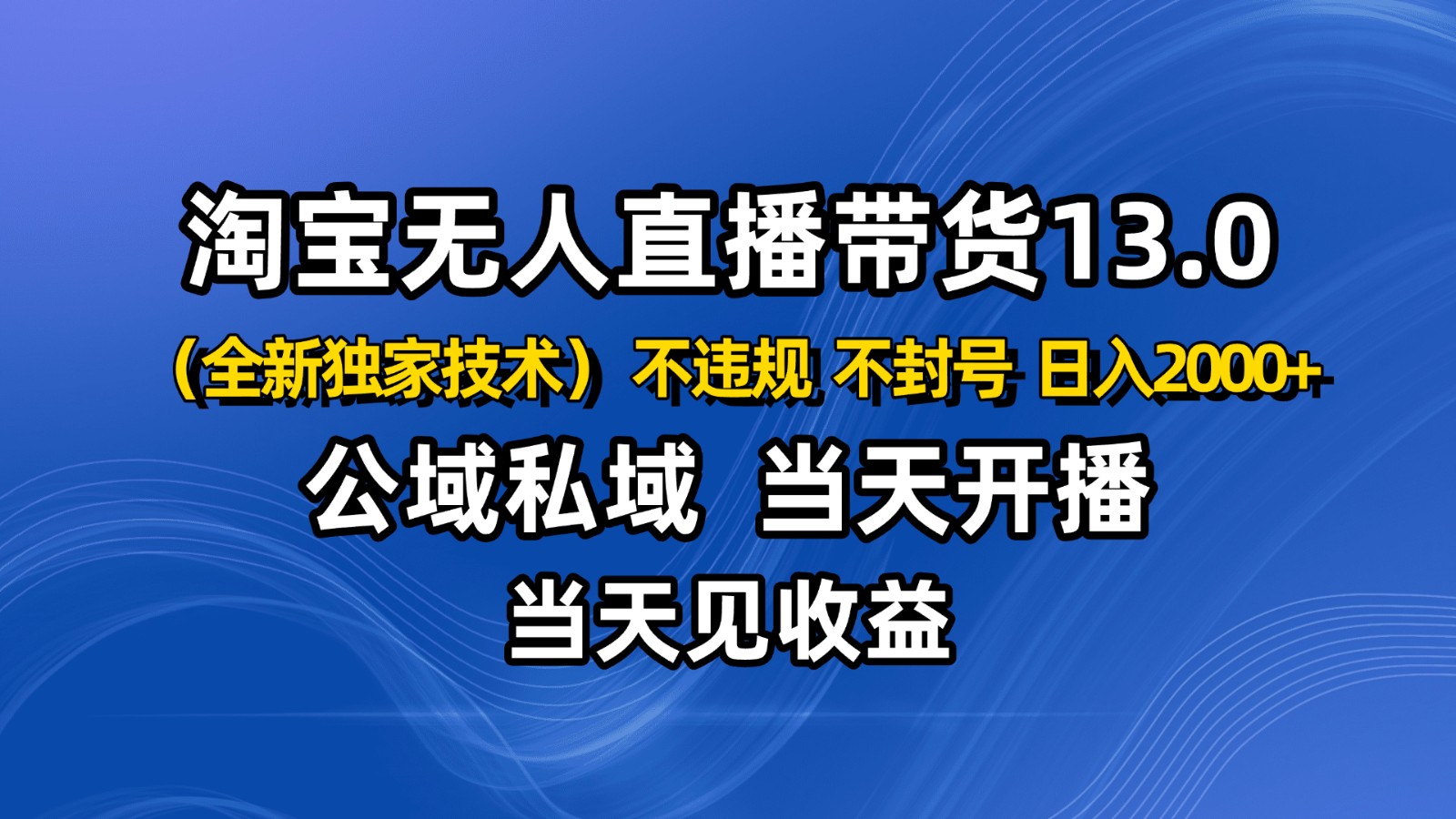 淘宝无人直播13.0，公域私域技术，不封号，不违规 布局下半年旺季赛道，日入2000+-副业网创