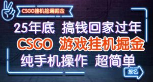 25年底搞钱回家过年,CSGO游戏挂机掘金,纯手机操作超简单-副业网创