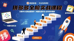 拼多多全阶实战课程，从新手小白到运营高手，海量实战玩法+全年实时更新【2025年10月更新】-副业网创