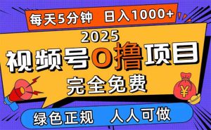 2025视频号0撸项目，5分钟一个号，日入1000+，人人可做-副业网创
