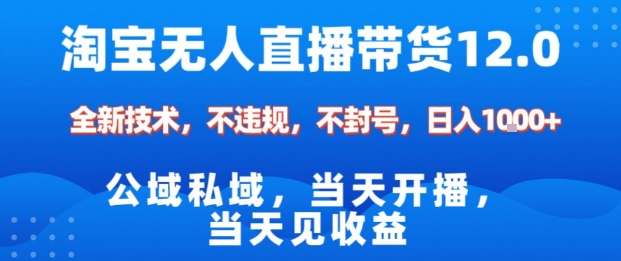 淘宝无人直播12.0，公域私域技术，不封号，不违规布局双十一流量风口，日入1k(独家技术)【揭秘】-副业网创