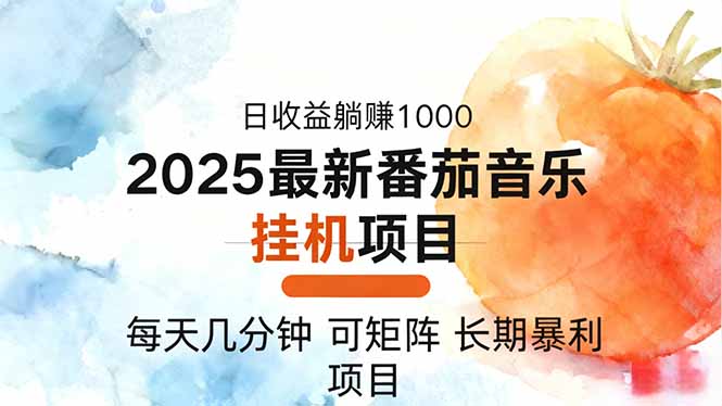 2025年最新番茄音乐人挂机项目，每天几分钟，月入1000＋，可矩阵，一台...-副业网创