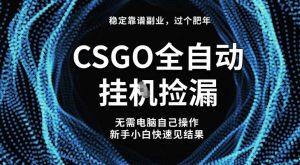 【稳定副业】全球最热门游戏CSGO全自动捡漏,最新玩法,新手小白日入5张+【揭秘】-副业网创