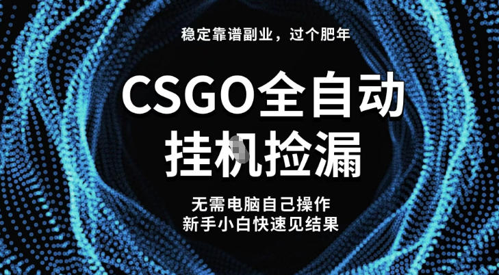 【稳定副业】全球最热门游戏CSGO全自动捡漏,最新玩法,新手小白日入5张+【揭秘】-副业网创
