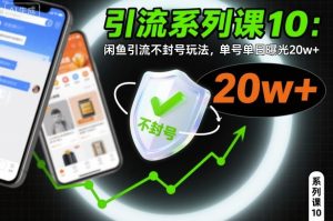 引流系列课10：闲鱼引流不封号玩法，单号单日曝光20w+-副业网创