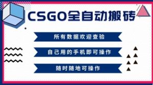 CSGO全自动搬砖，年底钱回家好项目，当天可拿到结果，新手小白轻松月入1W+【揭秘】-副业网创
