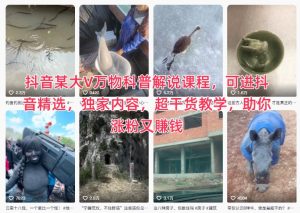 抖音某大V万物科普解说课程，可进抖音精选，独家内容，超干货教学，助你涨粉又賺钱-副业网创