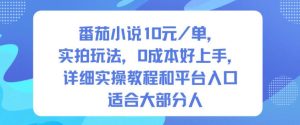 番茄小说10米每单，实拍玩法，0成本好上手，详细实操教程和平台入口适合大部分人-副业网创