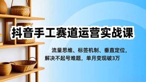 抖音手工赛道运营实战课,流量思维、标签机制、垂直定位,解决不起号难题,单月变现破3万-副业网创
