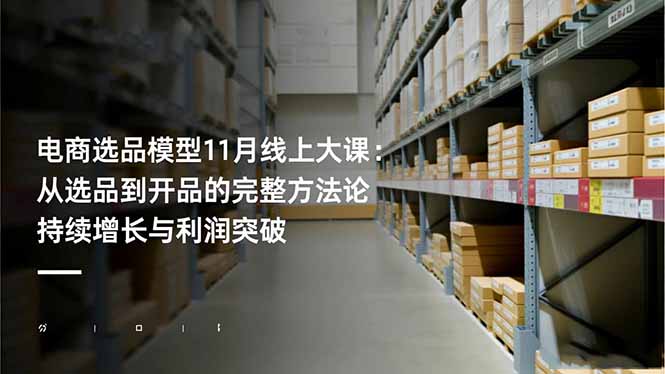 电商选品模型11月线上大课:从选品到开品的完整方法论 持续增长与利润突破-副业网创