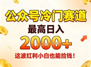 公众号冷门赛道，最高日入1k+，这波红利小白也能捡钱！-副业网创