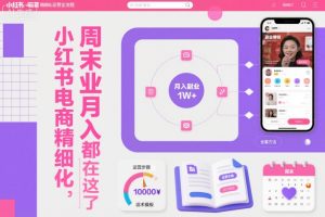 小红书电商精细化运营全流程，周末副业月入1W+，全套方法都在这了-副业网创