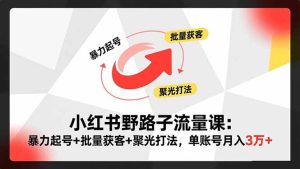 小红书野路子流量课:暴力起号+批量获客+聚光打法,单账号月入3万+-副业网创