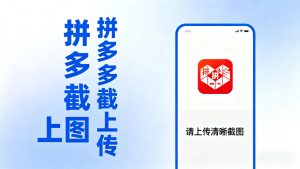 拼西西截图上传  次日结算-副业网创