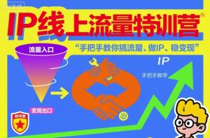 IP线上流量特训营，手把手教你搞流量、做IP、稳变现-副业网创