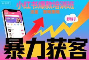 小红书爆款培训班，小红书获客野路子流量打法，暴力持续获客-副业网创