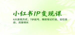 小红书IP变现课:6大变现方式,7步起号,爆款笔记打造,定位选品,流量增长-副业网创