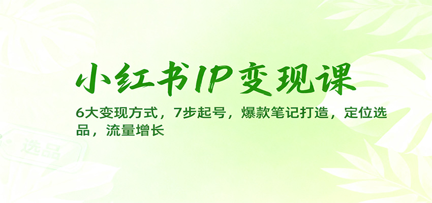 小红书IP变现课:6大变现方式,7步起号,爆款笔记打造,定位选品,流量增长-副业网创