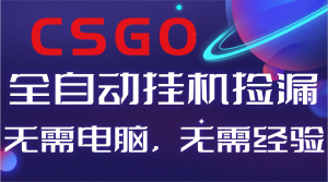 【副业好项目】全球火爆游戏CSGO自动捡漏，新手小白日入500+-副业网创