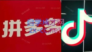 老陶电商·拼多多+抖音小店无货源开店(更新11月)-副业网创