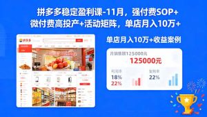 拼多多稳定盈利课-11月，强付费SOP+微付费高投产+活动矩阵，单店月入10万+-副业网创