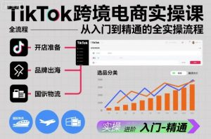 TikTok跨境电商实操课,从入门到精通的全实操流程-副业网创
