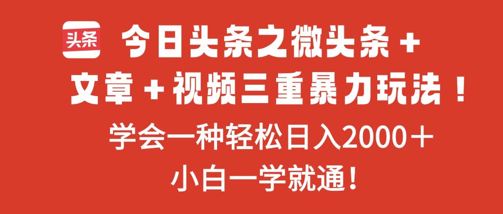 今日头条之微头条+文章+视频三重暴力玩法,学会一种轻松日入2000+,...-副业网创