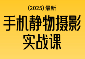 金老师·2025爆款手机静物摄影实战课-副业网创