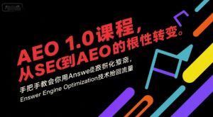 AEO 1.0 课程,从SEO到AE0的基命性转变,手把手教会你用AnswerEngineOptimization技术抢回流量(更新)-副业网创