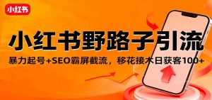 小红书野路子引流,暴力起号+SEO霸屏截流,移花接木日获客100+-副业网创