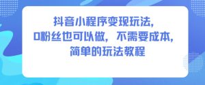 抖音小程序变现玩法，0粉丝也可以做，不需要成本，简单的玩法教程-副业网创