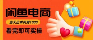 闲鱼高利润电商，当天上架当天出单，一单利润300-副业网创