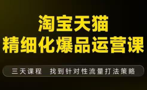 猫课子幽·淘宝天猫精细化爆品运营【音频+字幕+文档】(9月12-14杭州线下课)-副业网创