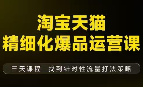 猫课子幽·淘宝天猫精细化爆品运营【音频+字幕+文档】(9月12-14杭州线下课)-副业网创