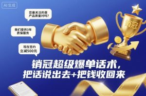 销冠超级爆单话术,把话说出去+把钱收回来-副业网创