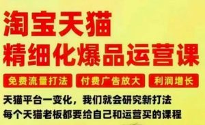淘宝天猫精细化爆品运营课,免费流量打法-付费广告放大-利润增长-三大核心痛点,一次全部解决-副业网创