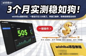 3个月实测稳如狗!wishlba最新项目,一键运行日入50美刀,单窗口躺挣,保姆级教程全给你【揭秘】-副业网创