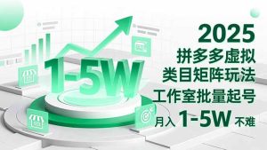 2025 拼多多虚拟类目矩阵玩法，工作室批量起号，月入 1-5W 不难-副业网创