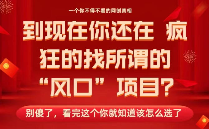 马上26年了，你还在找所谓的风口项目？别傻了，看完这个你全都懂了！【揭秘】-副业网创