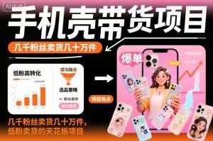 手机壳带货项目，几千粉丝卖货几十万件，短视频低粉卖货的天花板项目-副业网创
